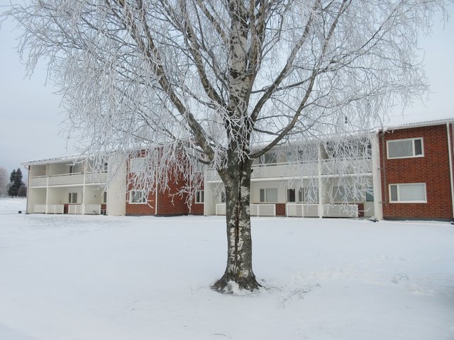 Raskulantie 4, Koskenkorva (Koskenkorva), Kuva 2, esikatselu