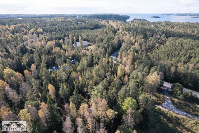 Kauriinpolku 21