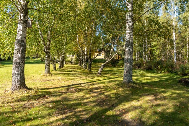 Kurkipolku 60, Kuopio (Kurkiharju), Kuva 26, esikatselu