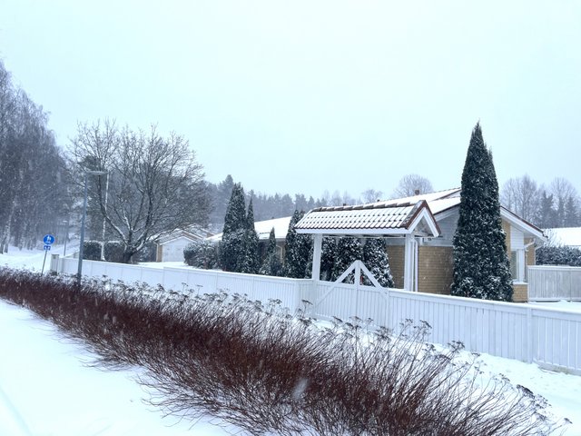 Karrinkatu, Turku (Länsikeskus), Kuva 25, esikatselu