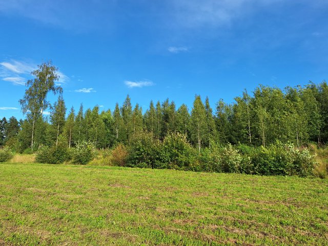 Skepparsintie 95, Sipoo (Linnanpelto), Kuva 6, esikatselu