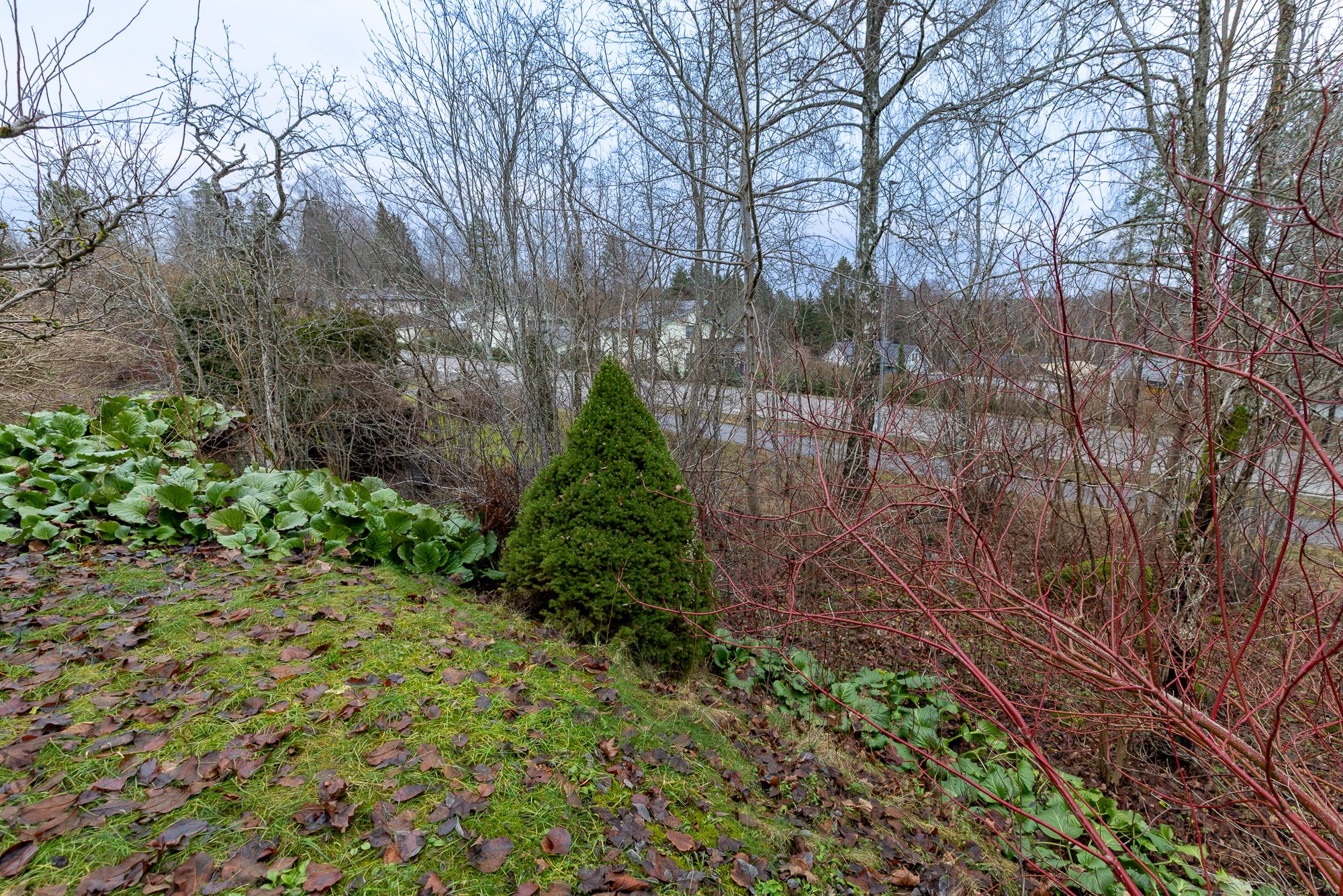 Nummijuntintie 10, Lohja (Maksjoki), Kuva 22