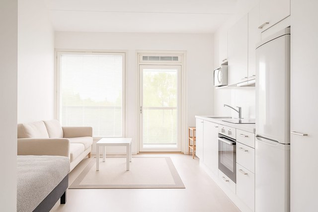 Perkkoonkatu 1 b