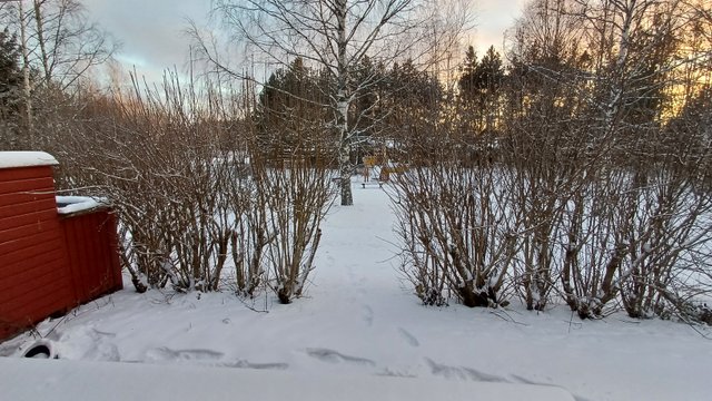 Pääskysenpolku 5, Renko (Renko), Kuva 16, esikatselu