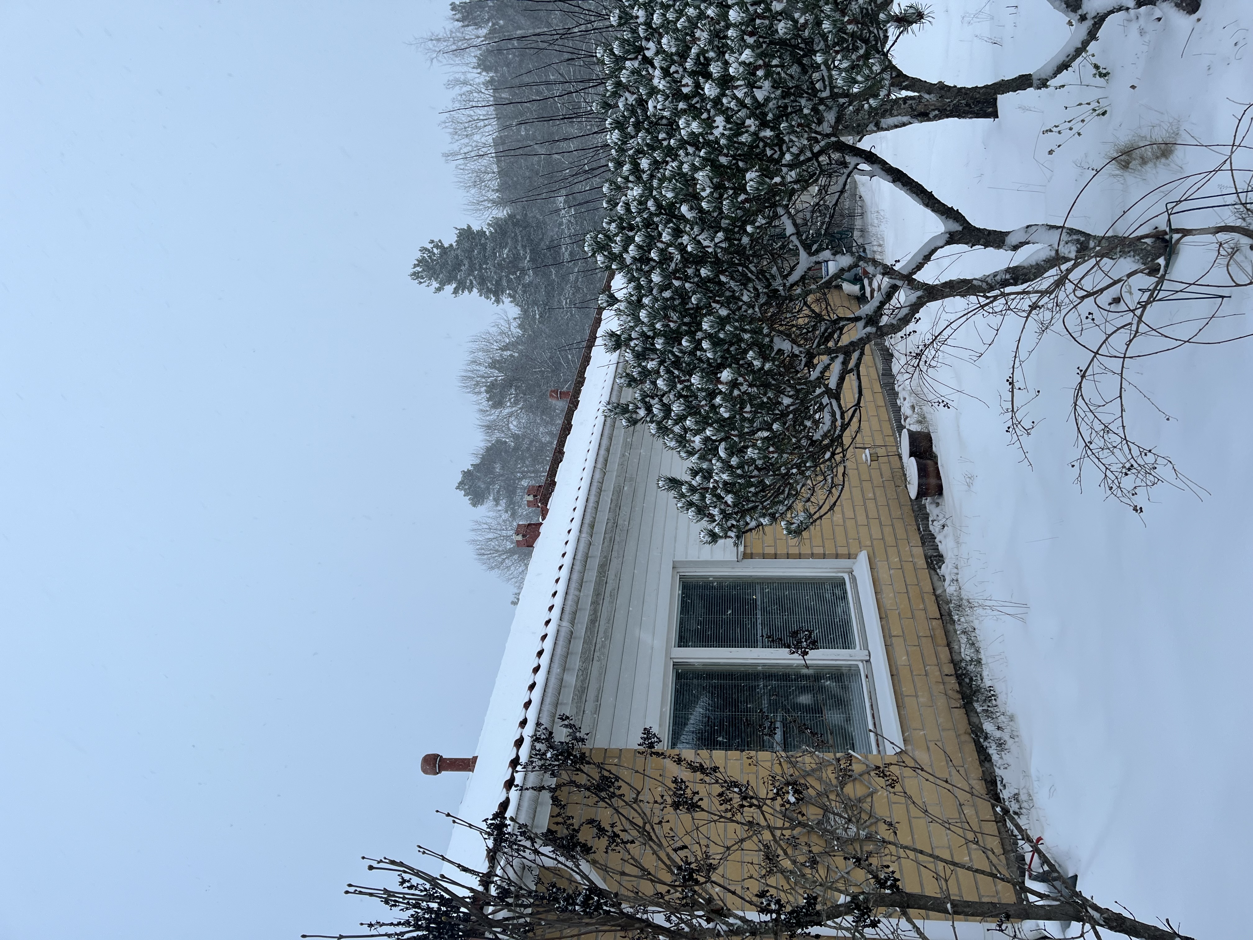 Karrinkatu, Turku (Länsikeskus), Kuva 28