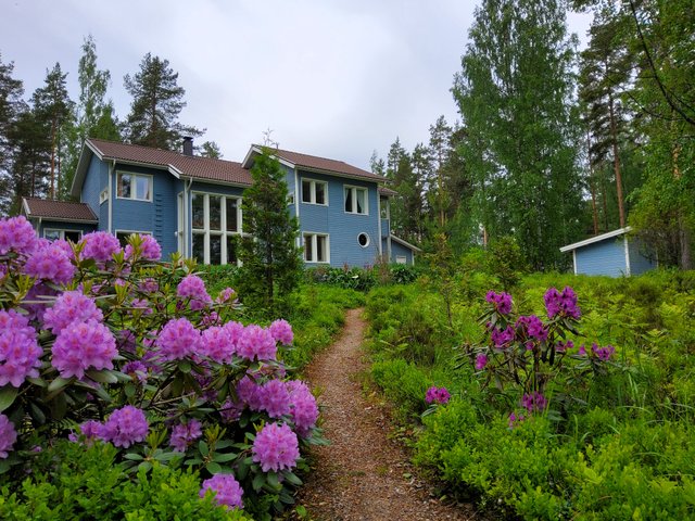 Kotiniemenkärki 14