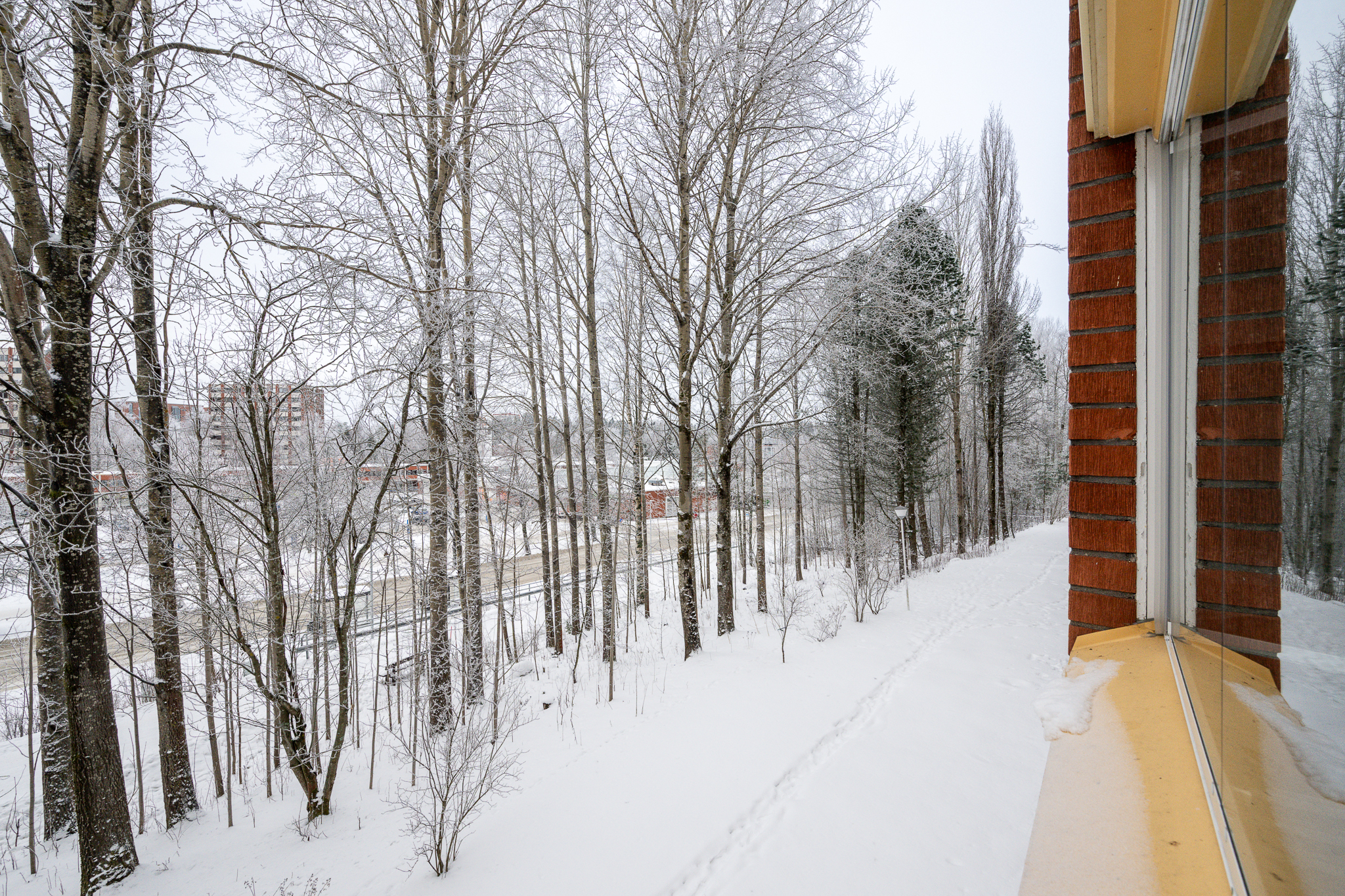 Sompatie 3, KUOPIO (Puijonlaakso), Kuva 29