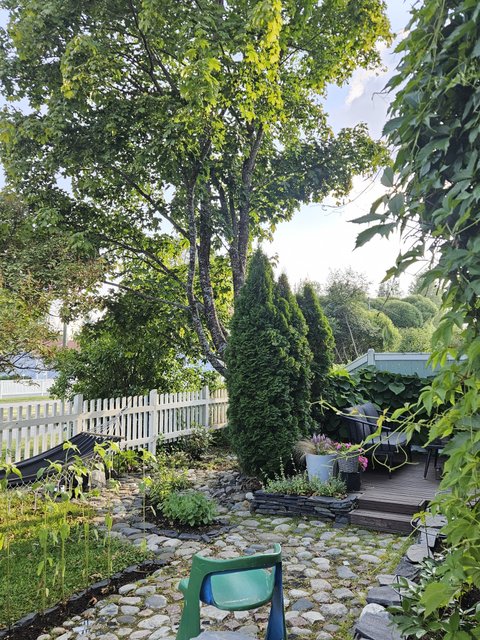 Lasimestarinkatu 7, Joensuu (Utra), Kuva 26, esikatselu