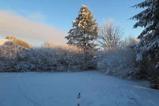 Hirmunkatu 9, Kemi (Koivuharju), Kuva 25, esikatselu