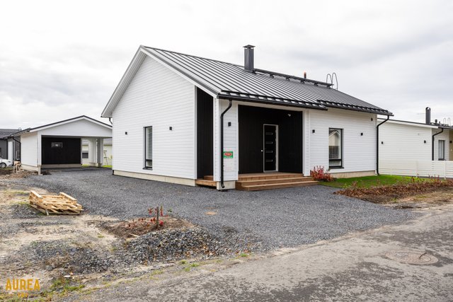 Kultapilvi 16