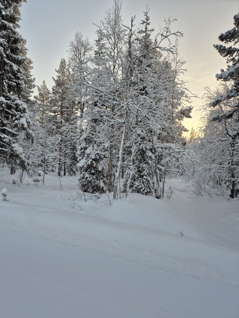 Ristimellantie 5 (TK)