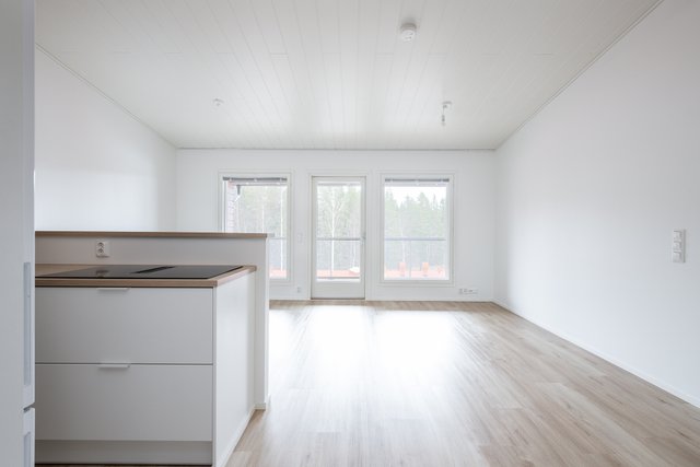 Kuunsilta 10, Kuopio, Kuva 15, esikatselu