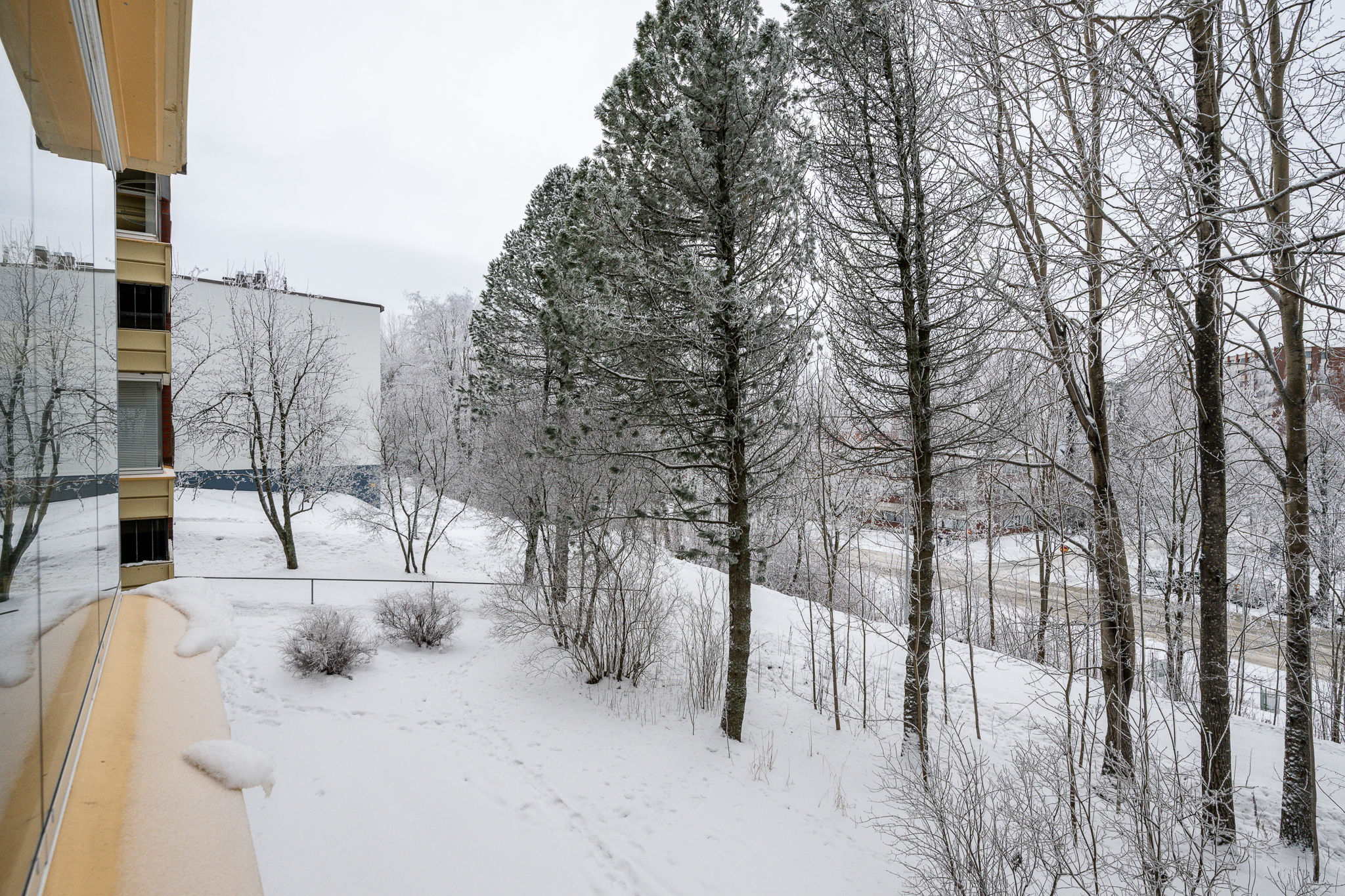 Sompatie 3, KUOPIO (Puijonlaakso), Kuva 28