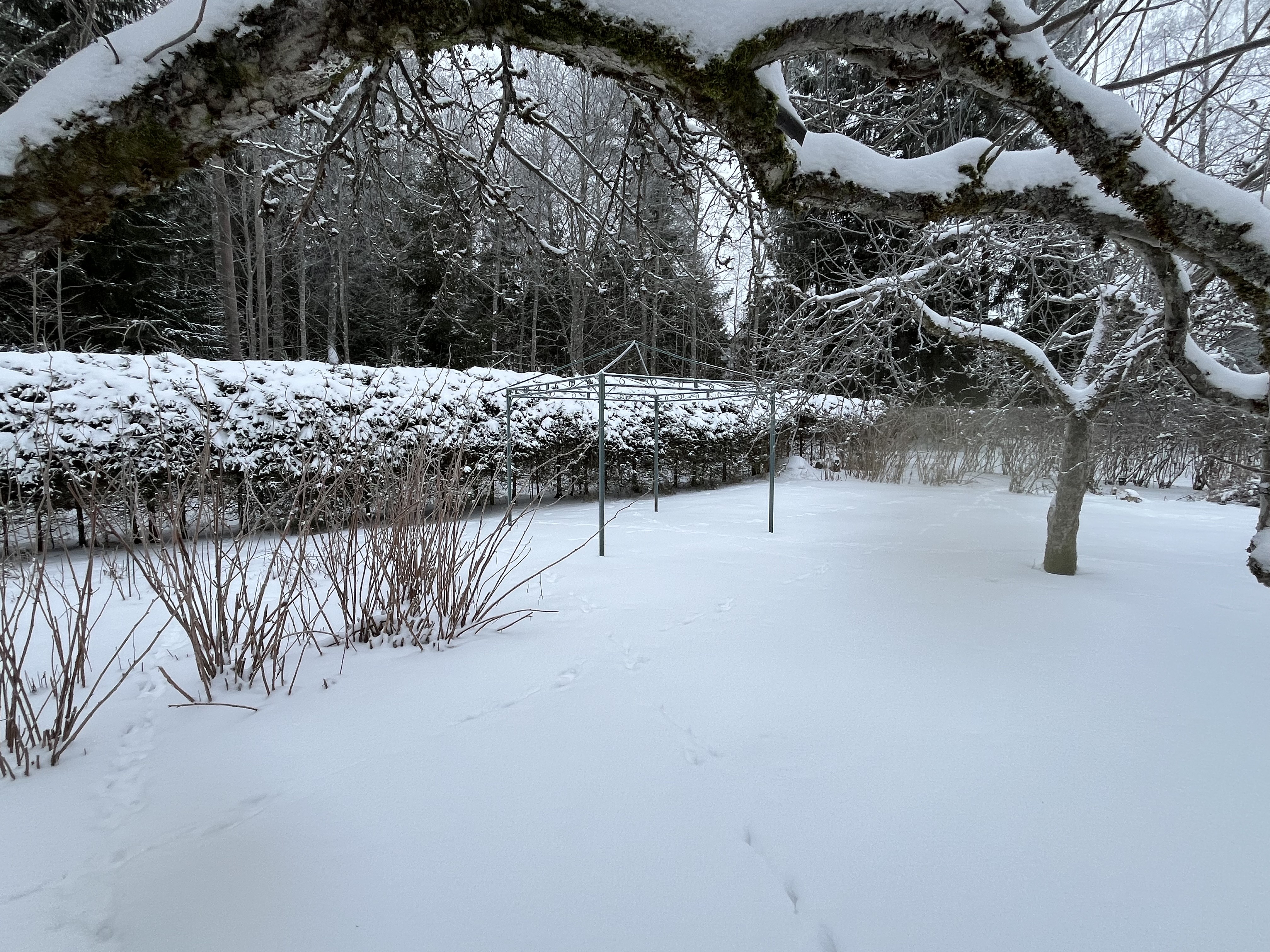 Pikosuonkatu 9, Hyvinkää (Kruununpuisto), Kuva 25