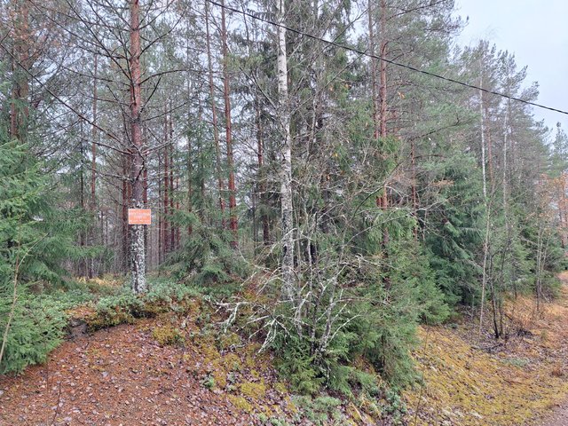 Fredsbackantie 33, Paippinen (Pohjois-Paippinen), Kuva 3, esikatselu