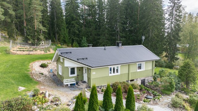 Punkalaitumentie 927