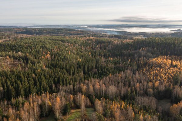 Pusulantie 260, Karkkila, Kuva 1, esikatselu