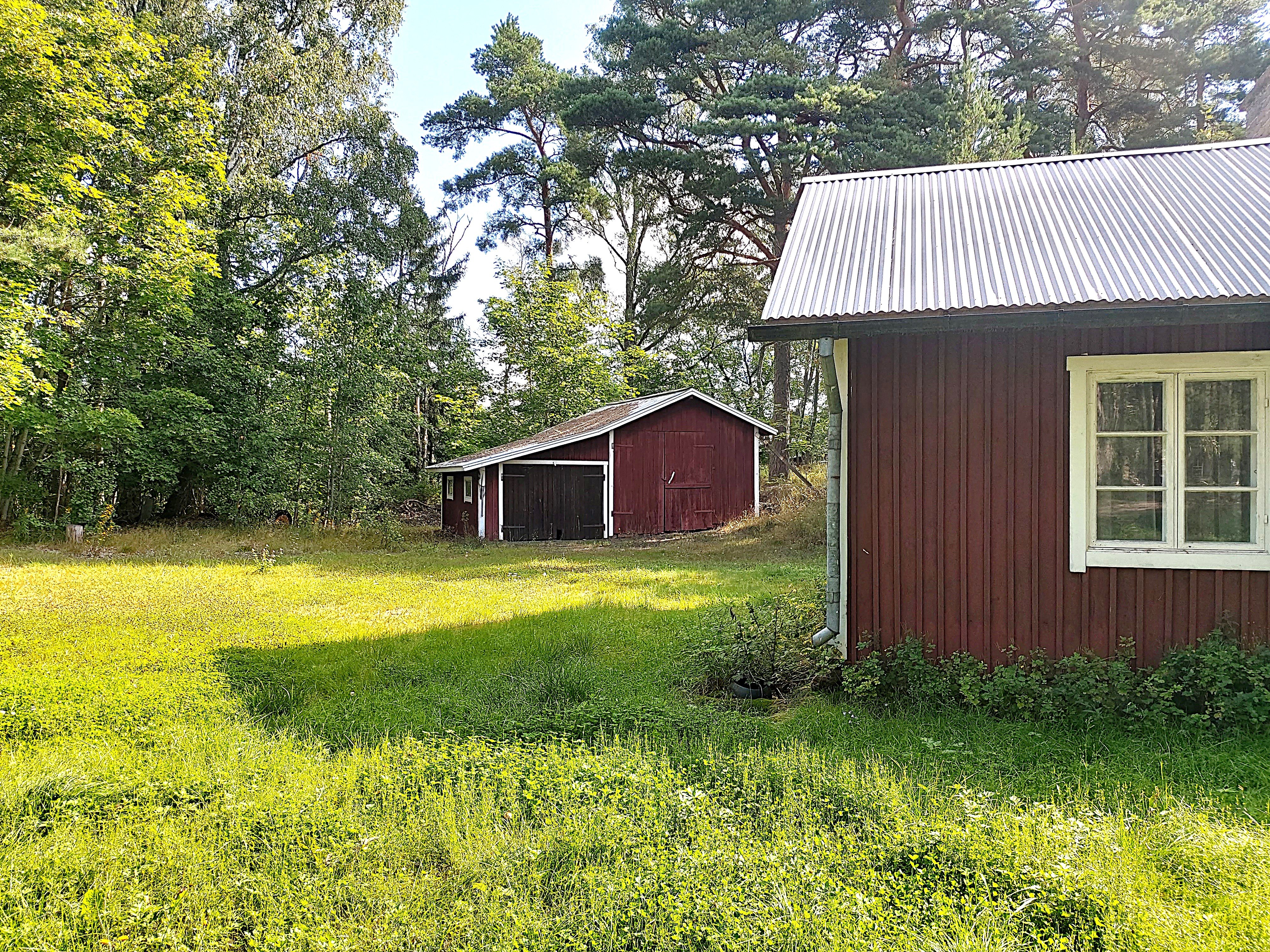 Vierasmökki ja puuvaja