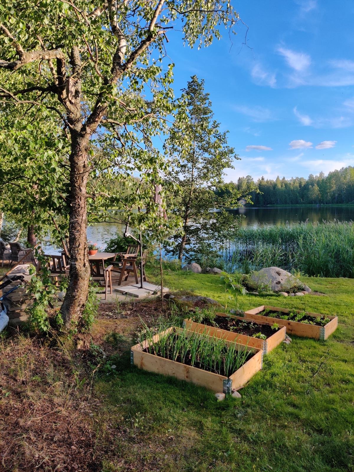 Kasvimaa