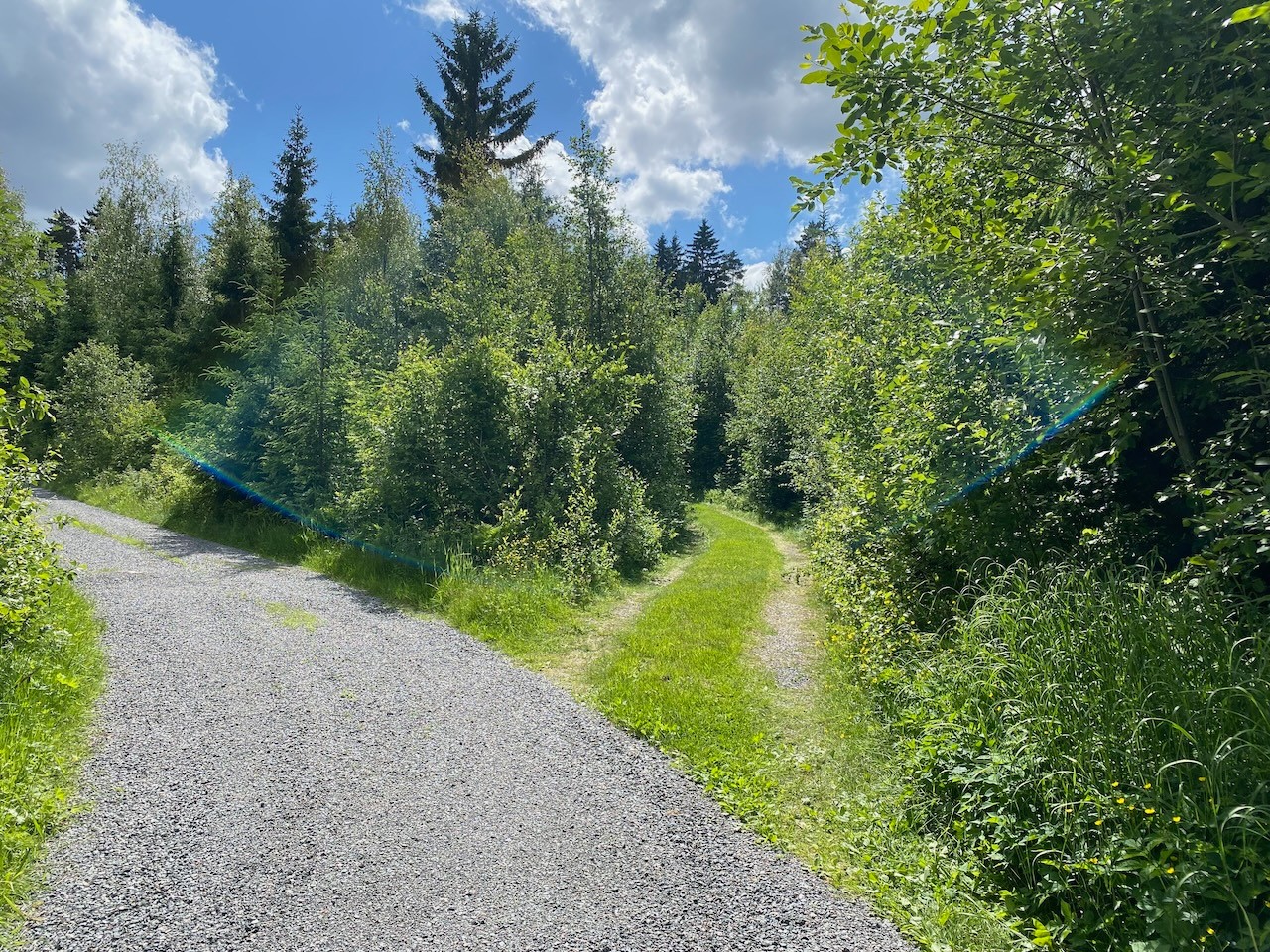 Mökille johtava tie oikealle.