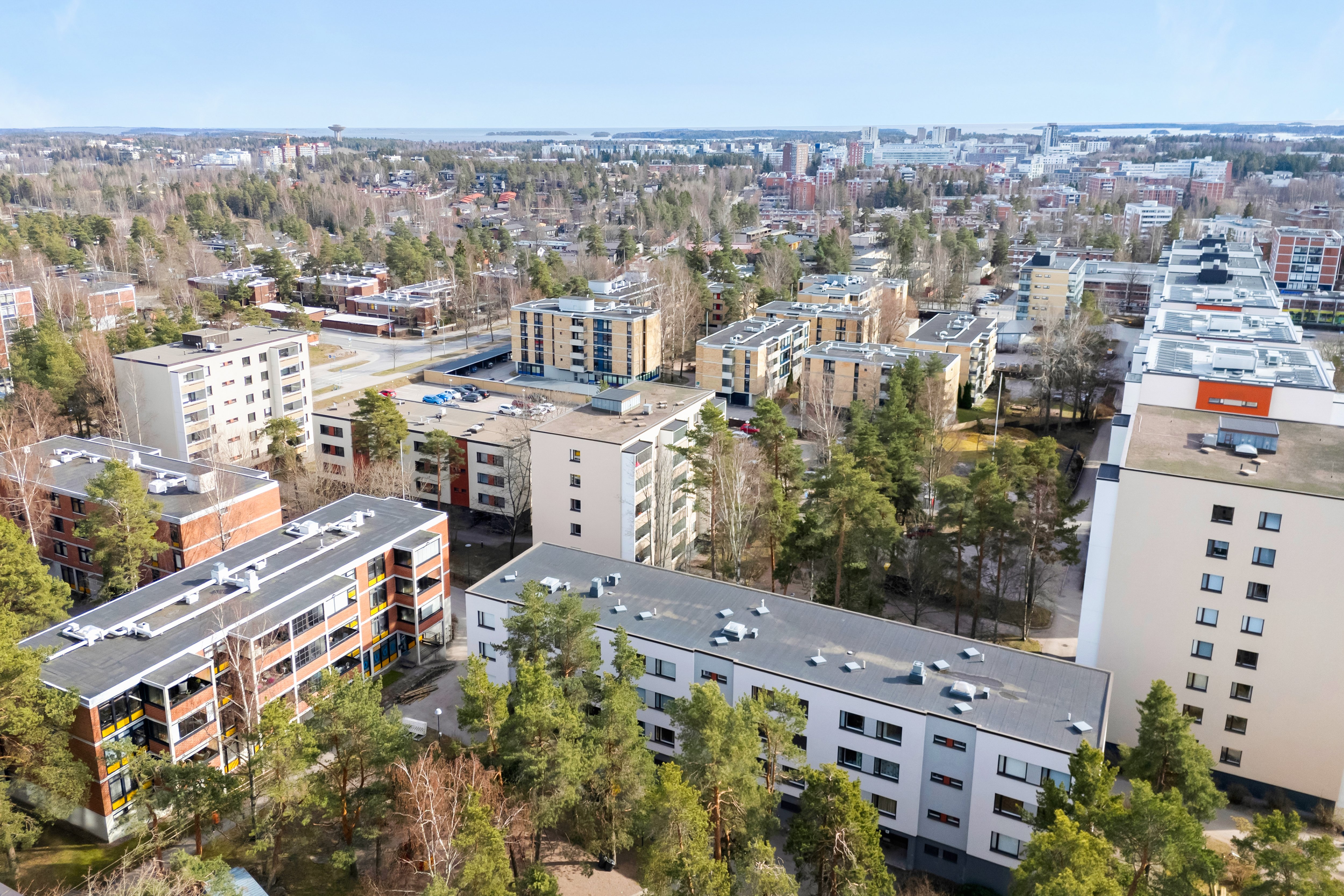 LähiOlari.