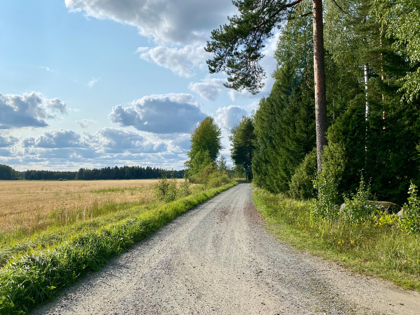 Mökkitien risteyksestä Särkilahdentietä n.700m asfalttitielle.