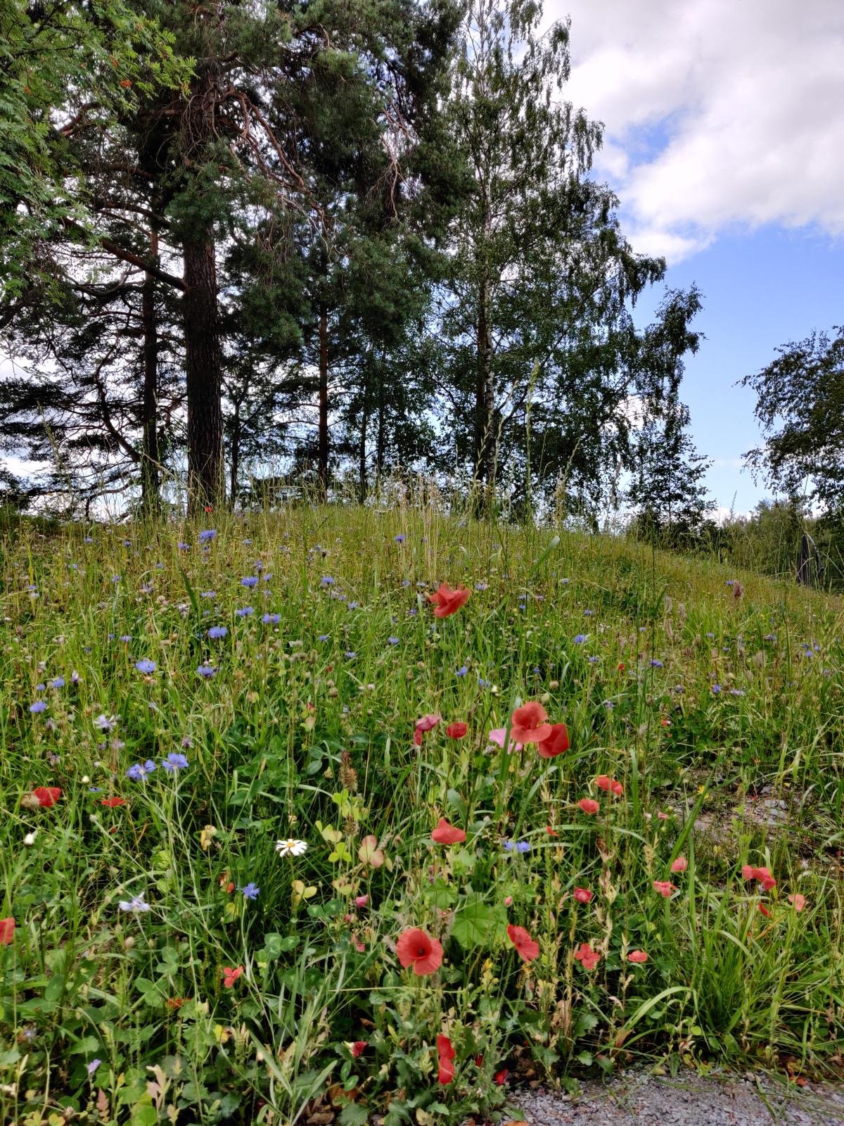 Kukkakukkula