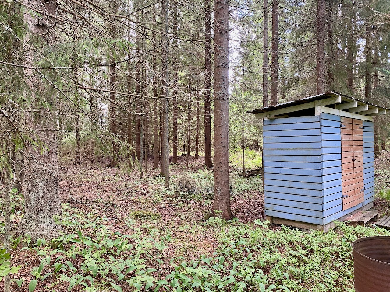 Pihapiirin ulkopuolella alkaa metsä...