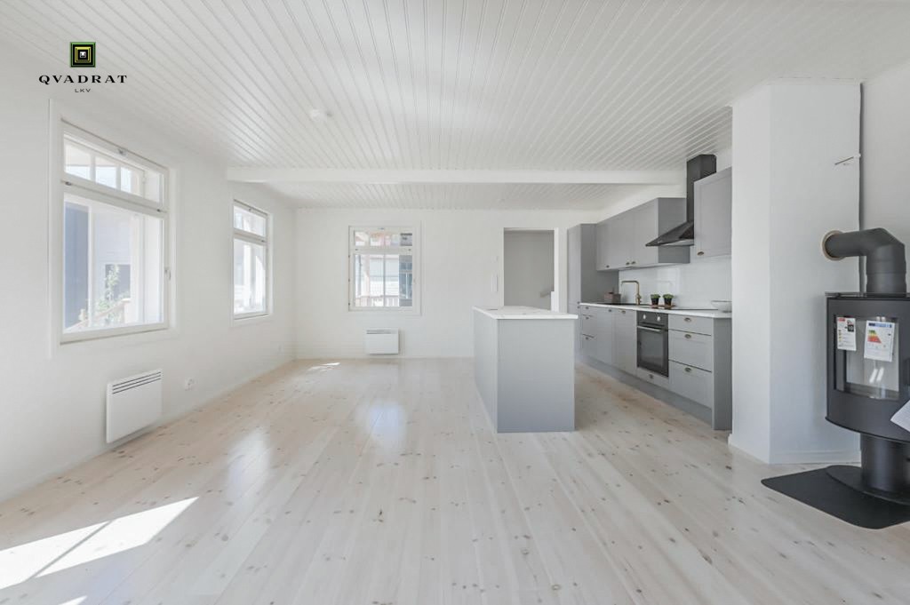 Olohuone/avokeittiö