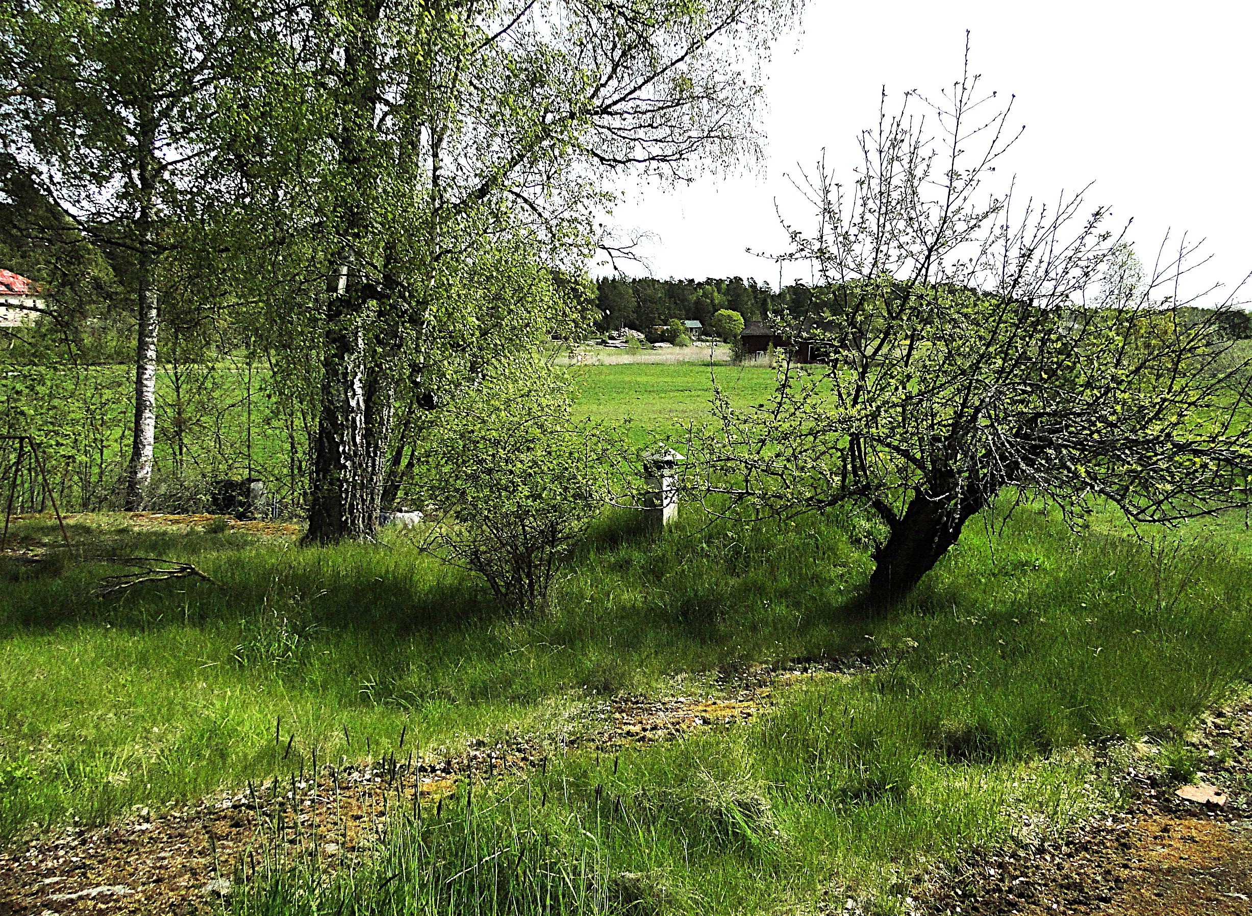 Maakellari