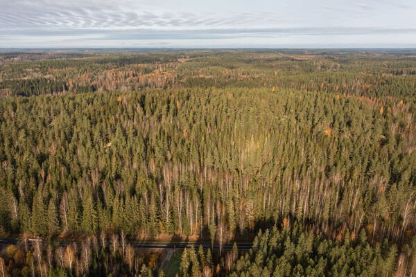 Pusulantie 260, Karkkila, Kuva 4, esikatselu