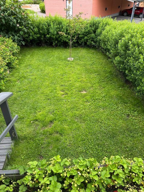 Ristihaantie 14, Espoo (Ymmersta), Kuva 24, esikatselu