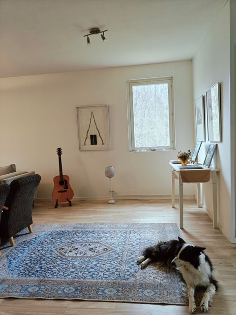 Kulmakatu 1, Imatra (Rajapatsas), Kuva 8, esikatselu