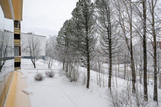 Sompatie 3, KUOPIO (Puijonlaakso), Kuva 28, esikatselu