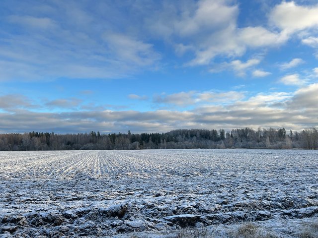 Viirikuja 7, Vantaa (Vantaanlaakso), Kuva 19, esikatselu