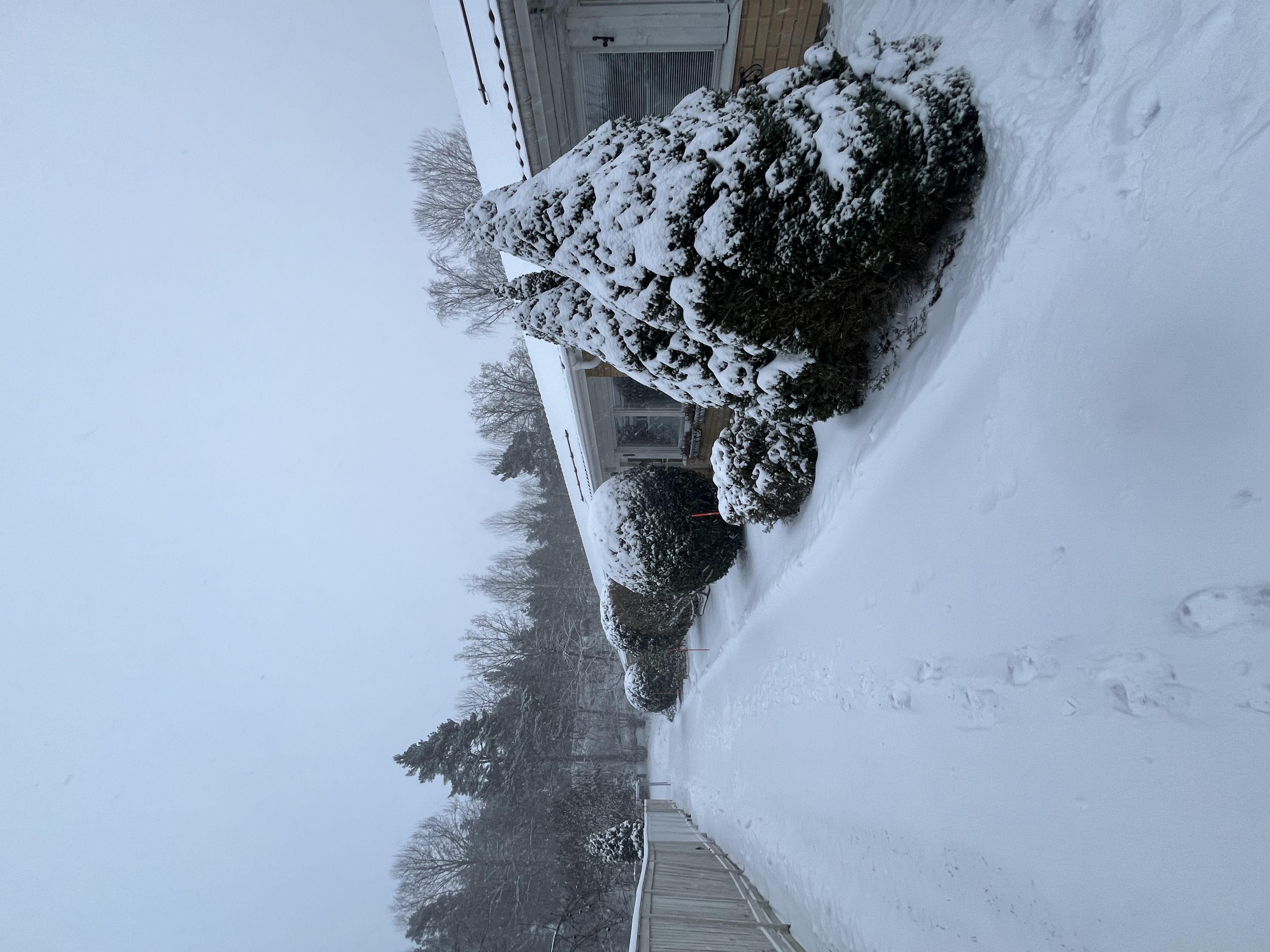 Karrinkatu, Turku (Länsikeskus), Kuva 31