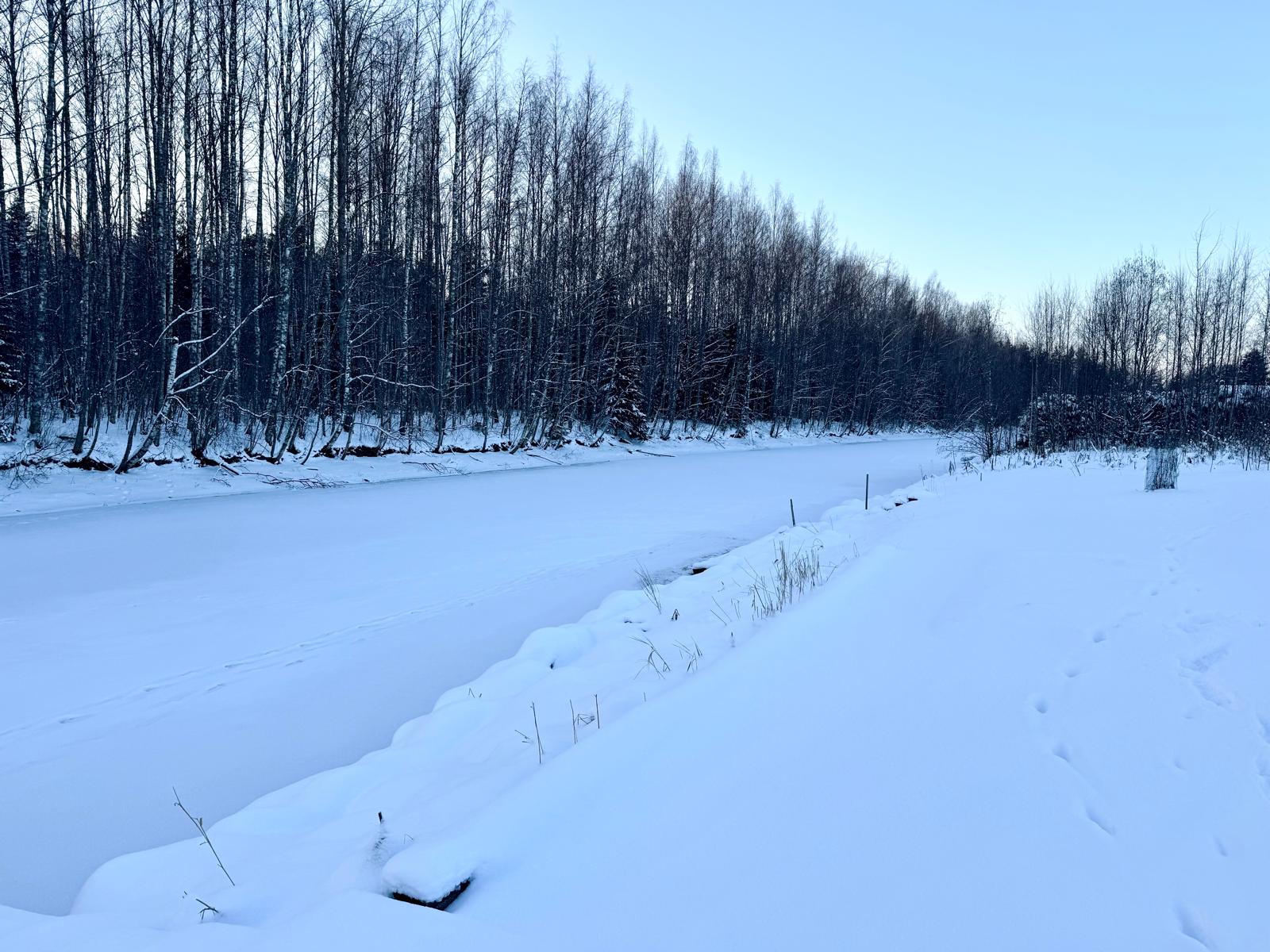 Aholaidantie 2, Joensuu (Multimäki), Kuva 25