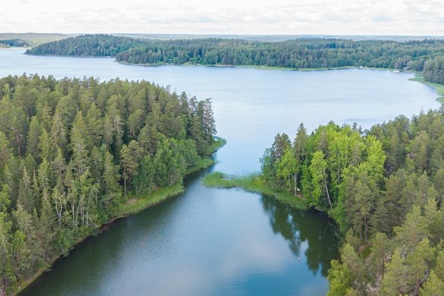Eteläkuivasto 61