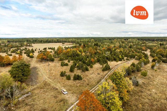 Põlluaia