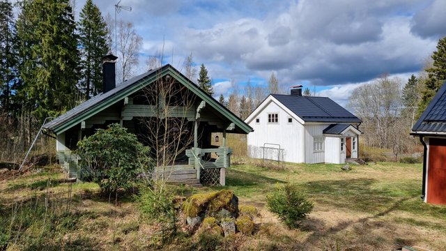 Vainuantie 31