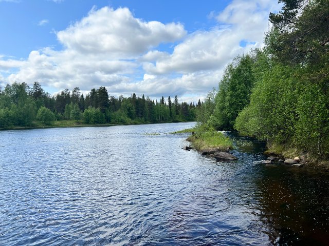 Kuissuvannontie 81