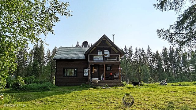 Allinniementie 98