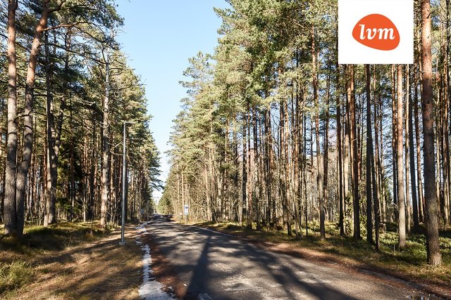 Nõmmemetsa Reiu küla