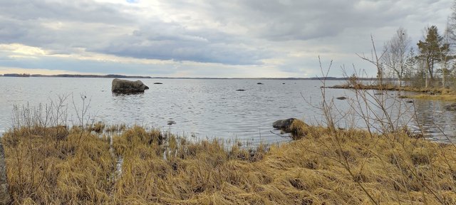 Itäniementie 246c