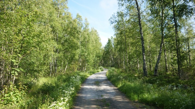 Syölätti C Maunuksentie