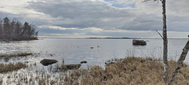 Itäniementie 246b