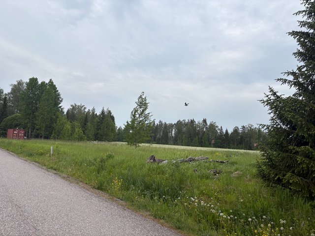 Luontolankuja 11