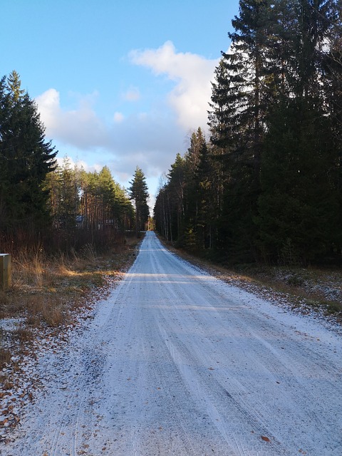 Orreksenpolku