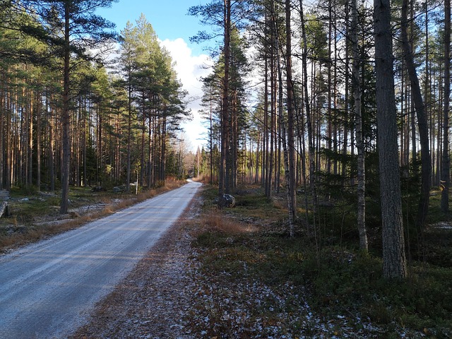 Orreksenpolku