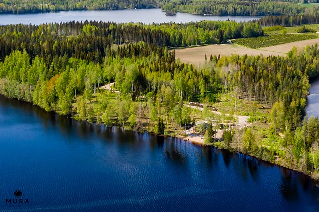 Korpelanniementie ma 2